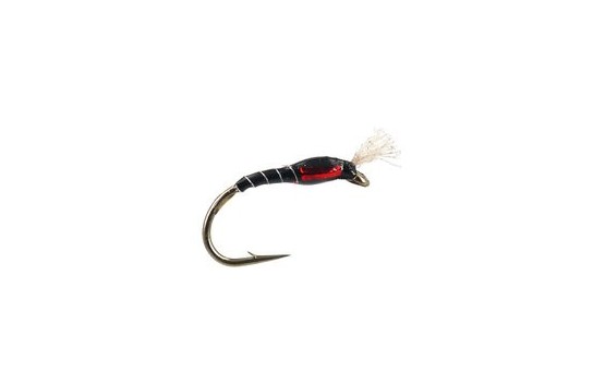 Highlander Buzzer Black Red