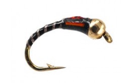 Ivans Black Holo BH Buzzer