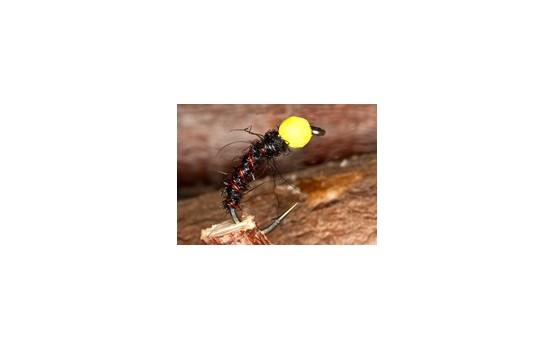 Leven Suspender Buzzer