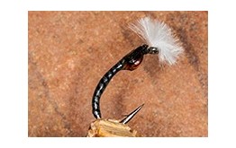 Mirror Image Grey Boy