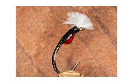 MirrorImageOliveBlack