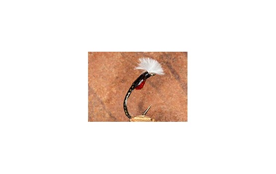 MirrorImageOliveBlack