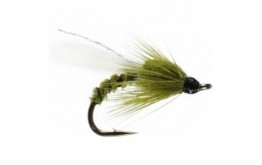 olive adult buzzer winged