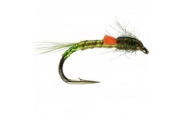 Olive quill orange FB