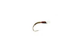 Olive Quill SH Buzzer