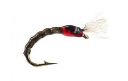 Pedros Dark Olive Buzzer