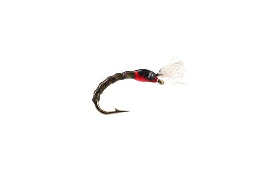 Pedros Dark Olive Buzzer