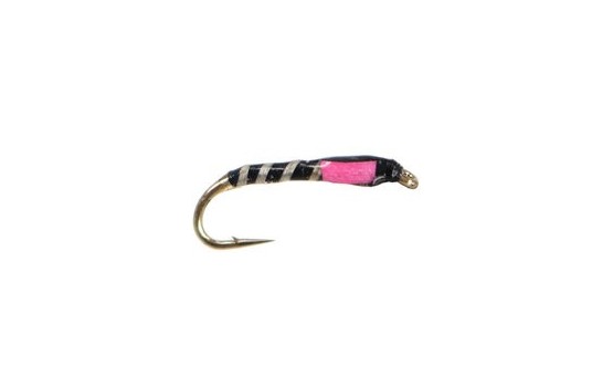 Pink Thorax Buzzer
