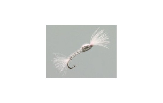 CDC Pink Suspender Silver Ribbed