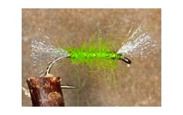 Shipmans Apple Green