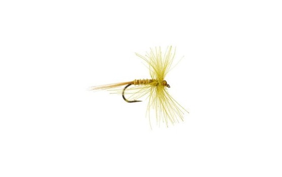 CDC Quill Body Sulphur Dun
