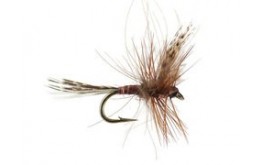 CDC Quill Brown Classic