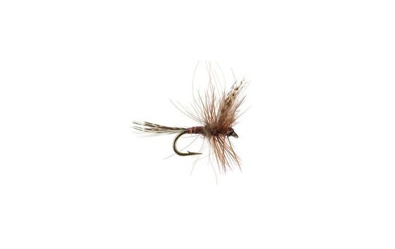 CDC Quill Brown Classic