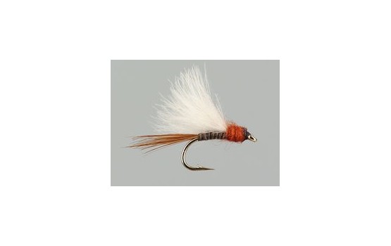 CDC Quill Brown