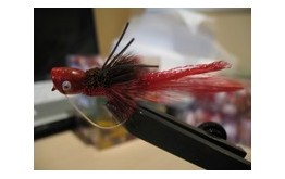 Bass Popper Brown & Black