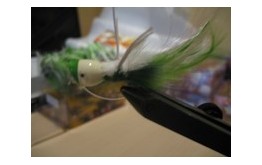 Bass Popper Green White