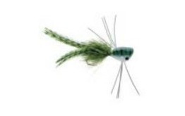 BASS POPPER WITH LEGS