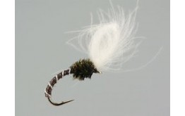 CDC Quill Midge