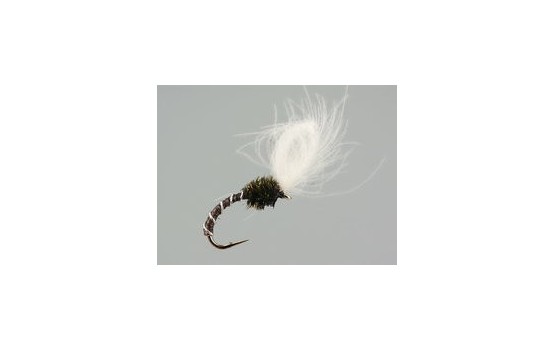 CDC Quill Midge