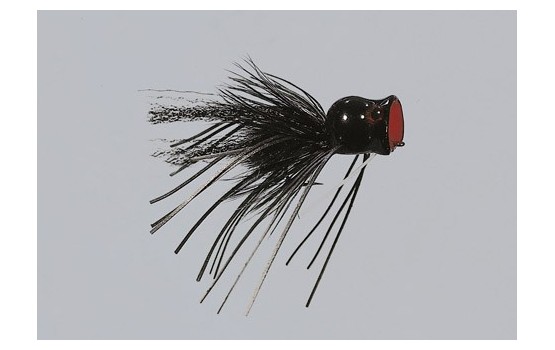 Black Pot Belly Frog