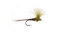 CDC Quill Olive
