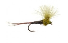 CDC Quill Olive