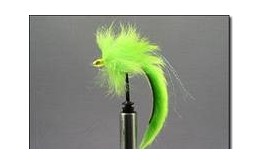 Bunny Fly Chartrueuse