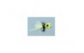 CB Chartreuse Micro Me Pop Frog   FM