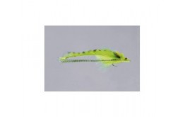 Chartreuse Joom Deep Diver   FM