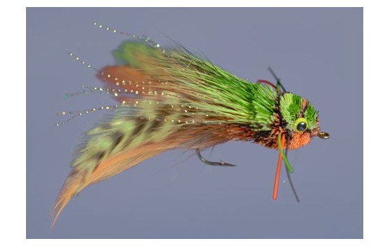 Dave's Diving Frog Orange Belly