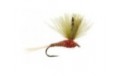 CDC Red Olive Quill