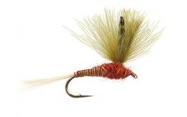 CDC Red Olive Quill