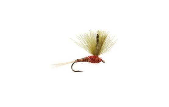 CDC Red Olive Quill
