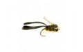Dry Rind Frog Popper
