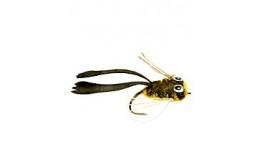 Dry Rind Frog Popper