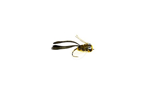 Dry Rind Frog Popper