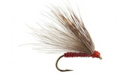 CDC Red Superfloating Caddis