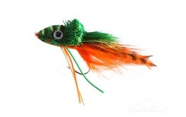 Frog Swimming Orange Belly