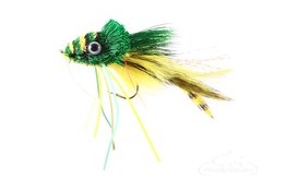 Frog Swimming Yellow Belly