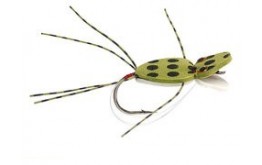 Kermit the Foam Frog Olive White