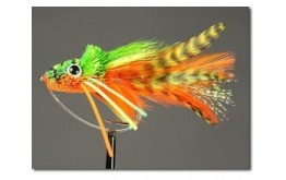 Swimming Frog Orange Belly