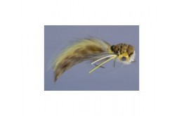 Whitlock's Hair Bug Frog   WG