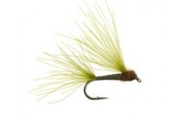 CDC Splitwing Dark Olive