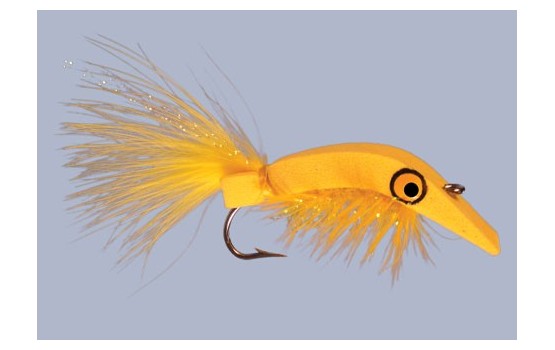 Wiggle Bug Yellow   FM