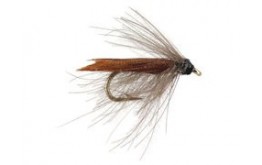 CDC Toms Small Sedge