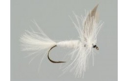 CDC White Winged Dry