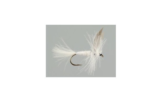 CDC White Winged Dry