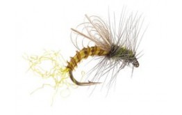 CDC Winged Emerger BWO