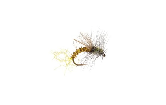 CDC Winged Emerger BWO