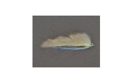 BL Snakelet Natural White